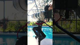 Why EVERY Sports Videographer Needs This Monopod Cayer FP34 Monopod Review [upl. by Reivaj376]