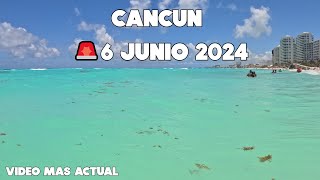 Cancún Ultima Hora🚨Actualización 6 Junio 2024 Llega Sargazo  Playa Forum [upl. by Yecnay]