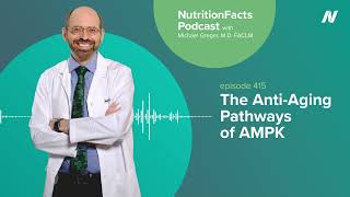 Podcast The AntiAging Pathways of AMPK [upl. by Ennovoj]