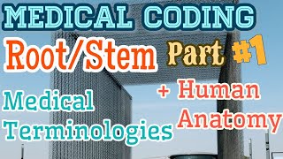 Medical TerminologyStemRoot word in detailBasic Human Anatomydetail medicalcoding CPC Nurses [upl. by Lraep]