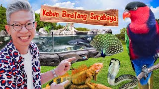 INILAH KEBUN BINATANG TERBESAR DI SURABAYA [upl. by Reinal]