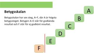 Välkommen till Hermods SFI Alvik [upl. by Fawnia]