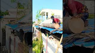 Sabarinathan tree cutter pattukkottai 8072635013 service [upl. by Wardlaw360]