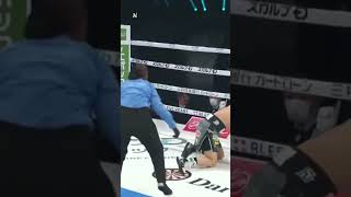 KOSEI TANAKA VS PHUMELELE CAFU Cafu Bikin Tanaka Merangkak shortsfeed shortsboxing SABoxing [upl. by Aloise17]