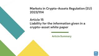 EU 20231114 Article 15 Summary [upl. by Somar587]