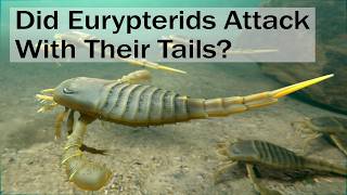 Did Eurypterids Attack With Their Tails [upl. by Oina847]