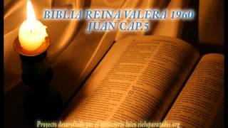 Biblia HabladaBIBLIA REINA VALERA 1960 JUAN CAP 5 [upl. by Acinhoj]