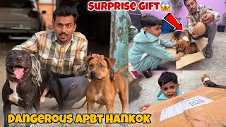 Mini Zoo Ke Liye Surprise Gift Aagya😱 Apbt Hankok Ko Khabisi Se Milaya [upl. by Elatnahs]