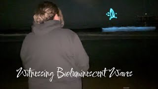 Witnessing Bioluminescent Waves  Vlog [upl. by Enimaj]