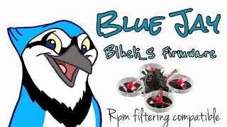 Blue Jay ESC Firmware for RPM Filtering with BlhelS ESCs [upl. by Nalepka]