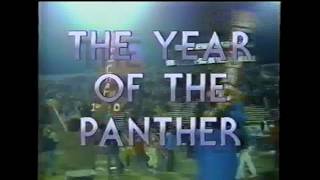 Year of The Panther [upl. by Ireland]