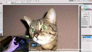 Photoshop and the SpacePilot PRO [upl. by Wenger804]