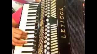 Video aula acordeon bugio novo [upl. by Ylekalb]