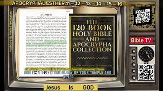 1 The 120 Book Holy Bible and Apocrypha Collection Literal  APOCRYPHAL ESTHER  111213141516 [upl. by Zerimar]