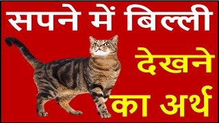 यदि सपने में बिल्ली दिखाई दें तो जाने इसका अर्थ Cat Dream Meaning interpretation in hindi [upl. by Adoree]