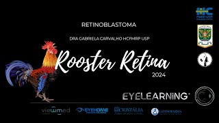 Retinoblastoma com Dra Gabriela Carvalho HCFMRP USP Rooster 2024 [upl. by Dorothy]