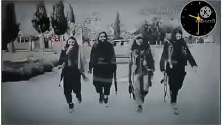 Afghan Taliban❤️ New Mujahideen attitude ✪ Whatsapp status😎😎 [upl. by Earl]