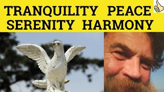 🔵 Peace Harmony Serenity Tranquility  Peaceful Harmonious Serene Tranquil  Meaning and Examples [upl. by Fleisher]