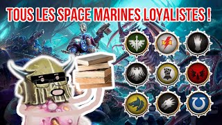 TOUTES les légions de space marine loyalistes expliquées en 40 minutes  Warhammer 40000 [upl. by Ocram]