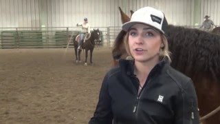 Top of the West Horse Highlights MSU Colt Starting Class [upl. by Kcirneh155]