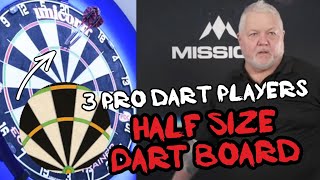 3 Professional Dart Players Play On Half Size Dart Board [upl. by Nyral]