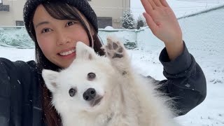 雪が積もって大はしゃぎする飼い主と愛犬 [upl. by Wystand269]