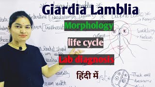 Giardia Lamblia  Morphology  Life Cycle  Lab Diagnosis  Giardiasis in hindi [upl. by Tnek]