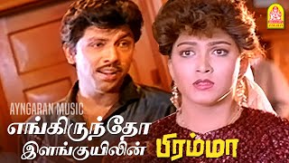 Engiruntho  2K Video Song  எங்கிருந்தோ  Bramma  Sathyaraj  Ilaiyaraaja  Ayngaran Music [upl. by Sherer]