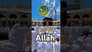 Namaj padhne ke fayde short🕌⭐youtubeshorts islamicmusic [upl. by Walley397]