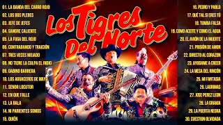 LOS TIGRES DEL NORTE MIX EXITOS ALBUM COMPLETO  PUROS CORRIDOS MIX MUSICA 2024 LO MAS ENAMORADO [upl. by Atinad358]