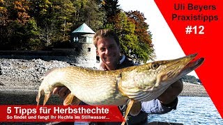 5 Tipps für den Hechtfang im Herbst [upl. by Tammie]