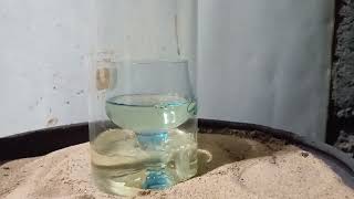 Выпариваю самодельную азотную кислоту Warning Dont Make Nitric Acid Without Watching This First [upl. by Atirma263]