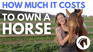 HOW MUCH DOES IT COST TO OWN A HORSE DETAILED COST GUIDE 💰 [upl. by Assek866]