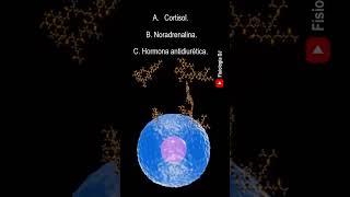 Repasa fisiología Endocrina  Preguntas y respuestas de la fisiología del sistema endocrino [upl. by Ahsir]