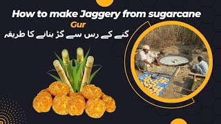 Traditional jaggerymaking process  How to make gur from sugarcane  Brilliant House Plant [upl. by Eerolam543]