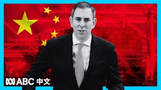 澳洲国库部长谈中国经济刺激政策及其对澳洲带来的影响丨ABC中文 [upl. by Hanfurd]