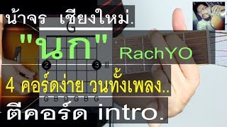 สอนกีต้าร์ นก RachYo ตีคอร์ดintro คอร์ดง่าย  น้าจร เชียงใหม่ [upl. by Ellesor]