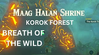 MAAG HALAN SHRINE KOROK FOREST THE LEGEND OF ZELDA BREATH OF THE WILD [upl. by Bevan]