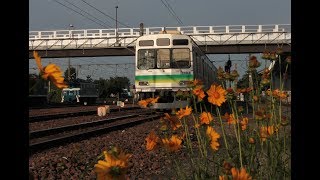 秩父鉄道 Chichibu Railway [upl. by Annora936]