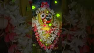 Hee jagannatha bhajana new song jaga songtrendingshorts YouTube video short bhajana jagannatha 🙏🙏 [upl. by Adiel]