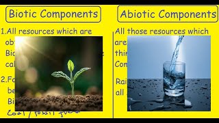 Biotic Vs Abiotic components Differences and Comparison [upl. by Ahsertal487]