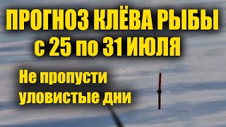 Прогноз клева рыбы на Неделю с 25 по 31 Июля Календарь рыбака на неделю Календарь клева рыбы [upl. by Ecinreb]