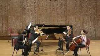 MozartQuartet for flute and strings in D K283 mov1 [upl. by Basia355]