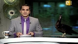 Bassem Youssef The Jon Stewart of Egypt [upl. by Berenice942]