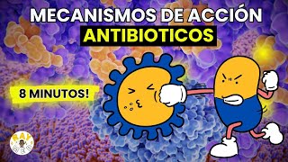 Mecanismo de acción de antibióticos ¿Cómo actúan [upl. by Nwadal]