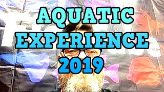 AQUATIC EXPERIENCE 2019  LIVE [upl. by Kinimod]