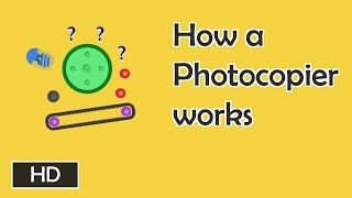 How photocopiers work [upl. by Fanechka]