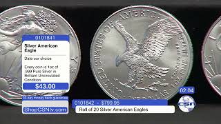 Silver American Eagle [upl. by Delorenzo]