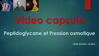 Video Capsule  Peptidoglycane et Pression osmotique  Expériences utilisant le Lysozyme [upl. by Reiner974]