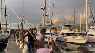 Another fishing spot at Honokohau Harbor Kailua Kona [upl. by Eonak]